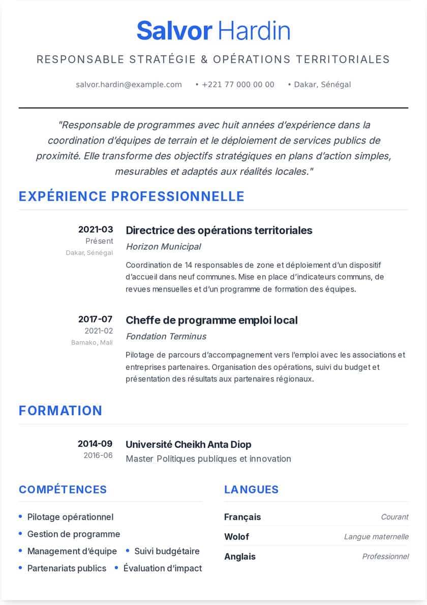 Aperçu d’un CV professionnel Cayito
